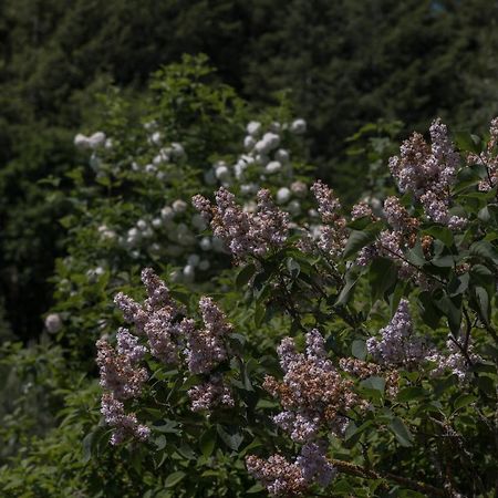 Ferienwohnung Schwalbennest Weinsheim  Zewnętrze zdjęcie