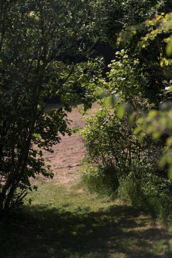 Ferienwohnung Schwalbennest Weinsheim  Zewnętrze zdjęcie