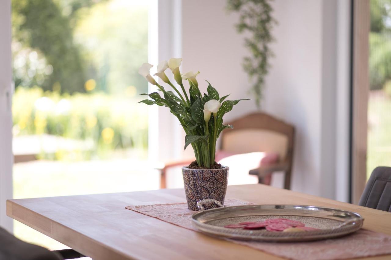 Ferienwohnung Schwalbennest Weinsheim  Zewnętrze zdjęcie
