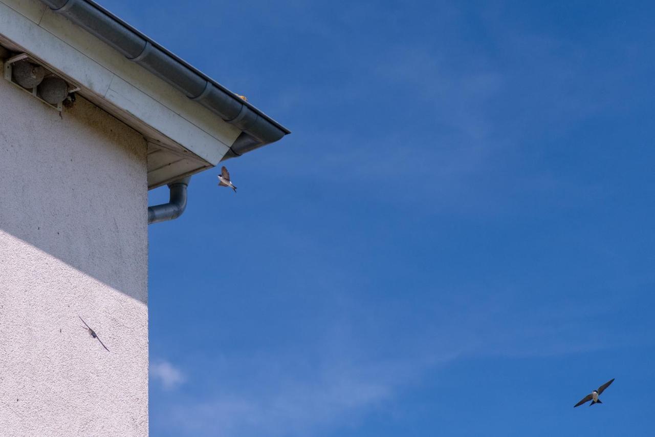 Ferienwohnung Schwalbennest Weinsheim  Zewnętrze zdjęcie