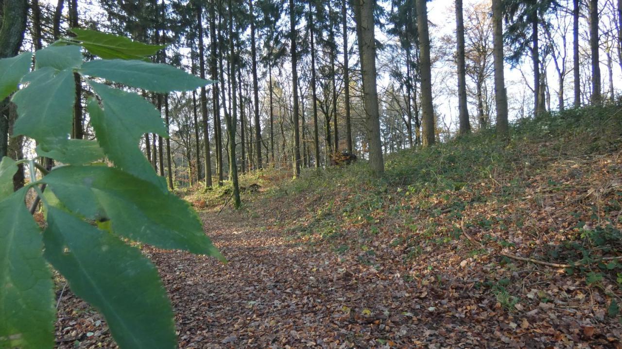 Ferienwohnung Schwalbennest Weinsheim  Zewnętrze zdjęcie