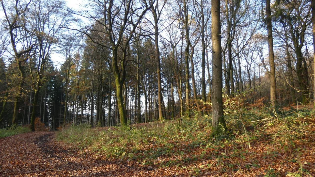 Ferienwohnung Schwalbennest Weinsheim  Zewnętrze zdjęcie